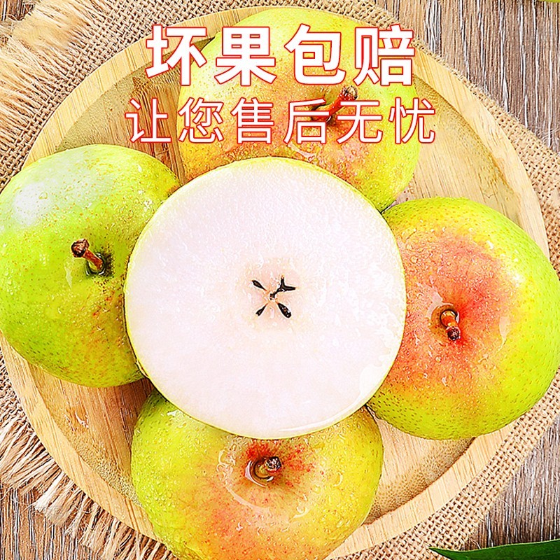 宋玉今苹果梨冻梨当季水果礼盒大果皮薄多汁延边龙井特产水果梨现摘现发 苹果梨大果12果8斤左右*1盒