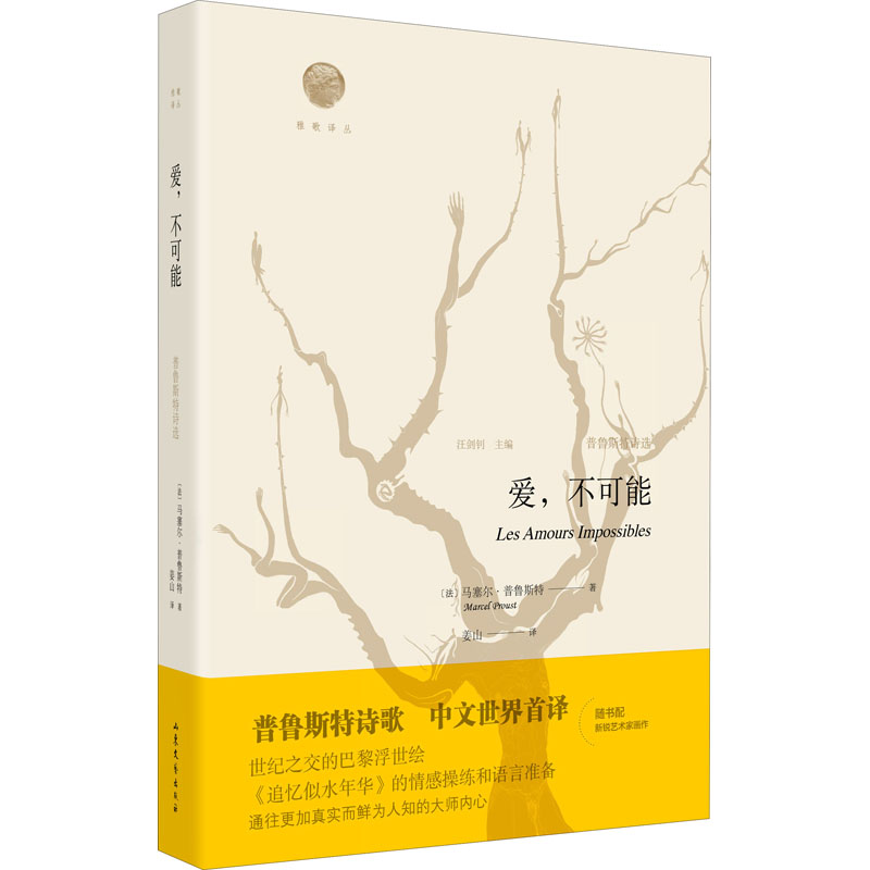 爱,不可能 普鲁斯特诗选 图书