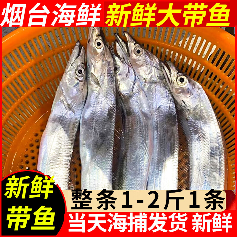 三蟹岛新鲜带鱼 新鲜刀鱼 海鲜年货 烟台大刀鱼整条海鲜水产 带鱼礼盒 2.7-2.9斤/条 京东折扣/优惠券