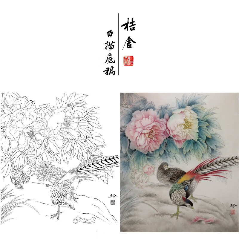 郑玲玲工笔画白描底稿锦鸡小品原作大小40*47厘米花鸟线稿带a3步骤图