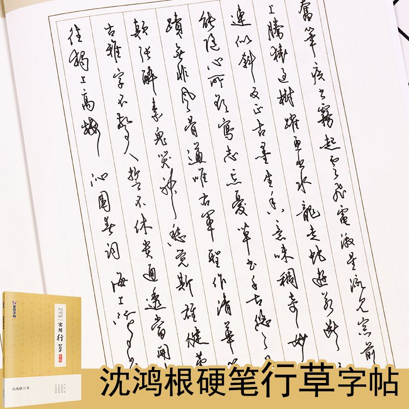 沈鸿根实用行草字帖硬笔行草书法草书字帖公务员学生速成练字帖男女生行草钢笔字帖临摹字帖草体字帖