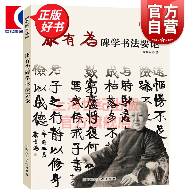 康有为碑学书法要论  康有为 著  上海人民美术出版社
