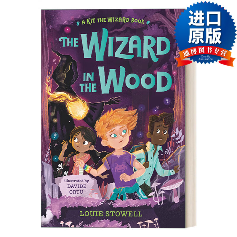 魔法师基特系列3 森林里的魔法师 儿童奇幻魔法冒险章节文字小说 英文