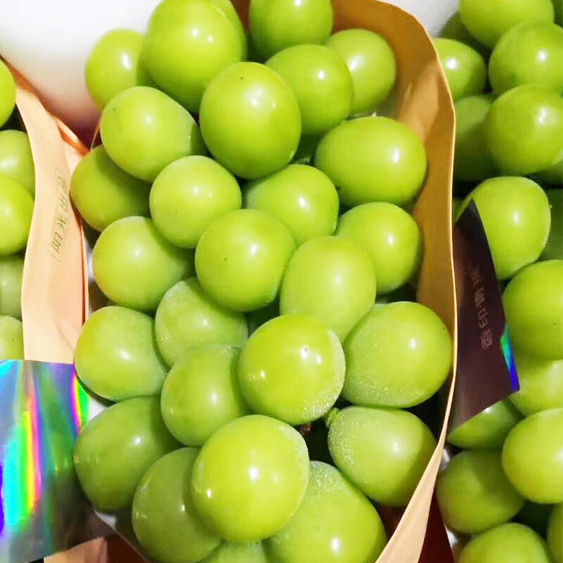 德骊嘉新鲜阳光玫瑰葡萄水果晴王无籽香印脆甜现货整箱 新鲜大果2斤装