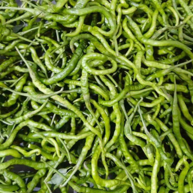 四川成都新鲜牧马山二荆条青辣椒长海椒薄皮青椒微辣时令菜 1kg 2斤装