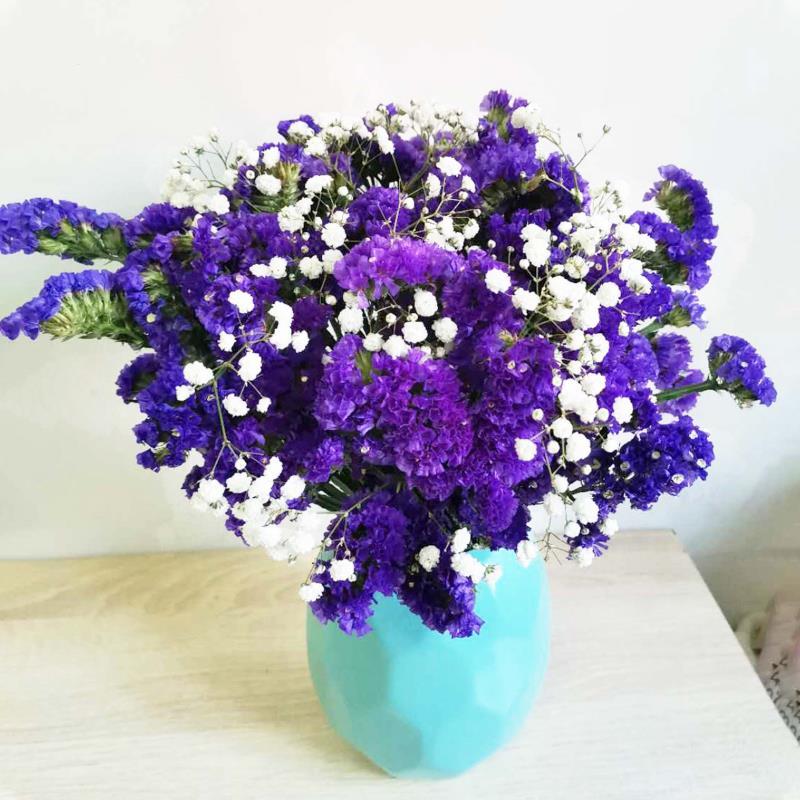 满天星花束批发家居摆设小清新客厅勿忘我装饰鲜花 六色混搭情人草 10