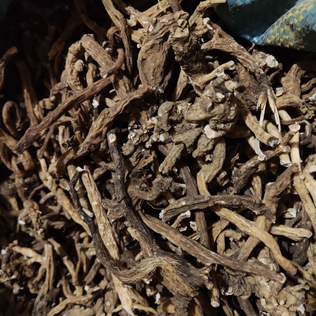 北京同仁堂中药材倒提壶根 飞扬草白金风云南飞燕草 月下参无硫干货