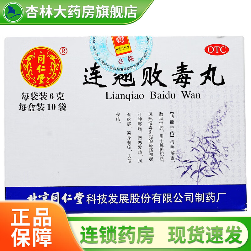 连翘败毒丸 6g*10袋 1盒
