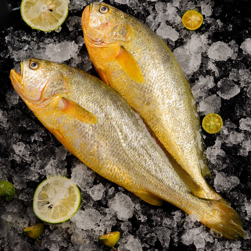 伯贤 青岛活冻大黄花鱼 2500g  海鲜水产 烧烤食材 2500g