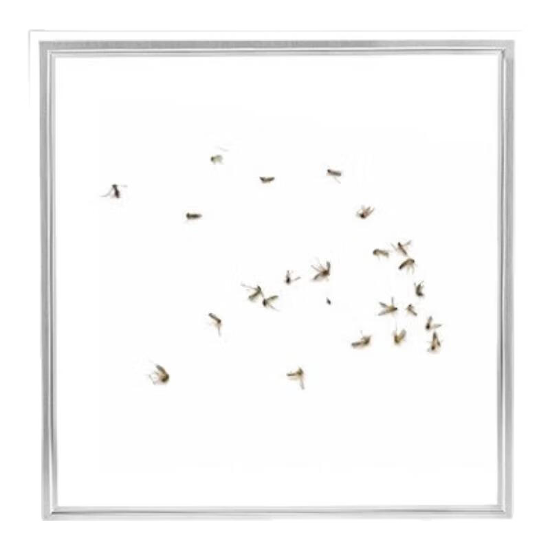 志高厨房灯集成吊顶厨卫灯具300x300x600x600扣板灯卫生间吸顶平板灯 24W 【热卖】/300*600mm白色/白光