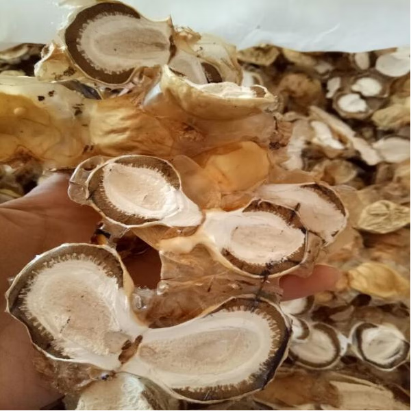 四川蜀南竹海无硫干货竹荪蛋 特产美味 500克