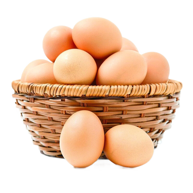 新鲜、优质、平价！选“黄河畔”买蛋再也不犯愁！