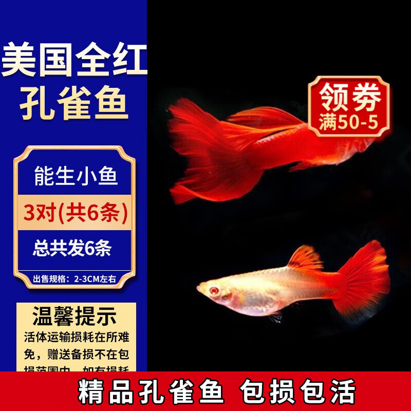 怎么看京东水族活体商品历史价格|水族活体价格走势