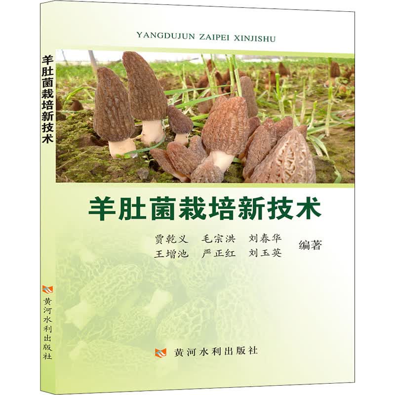 羊肚菌栽培新技术 贾乾义 等 编 书籍