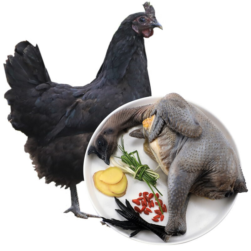 皓谦深山五黑鸡乌鸡老母鸡竹林散养土鸡肉1只2斤左右