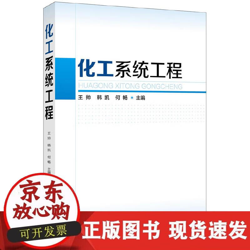 【正版现货】化工系统工程（王帅）