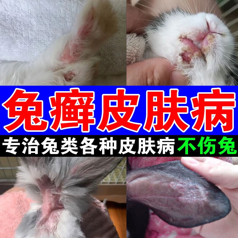 兔癣皮肤病真菌感染发炎红肿溃烂掉毛消炎抑菌喷剂防传染兔子驱虫兔子