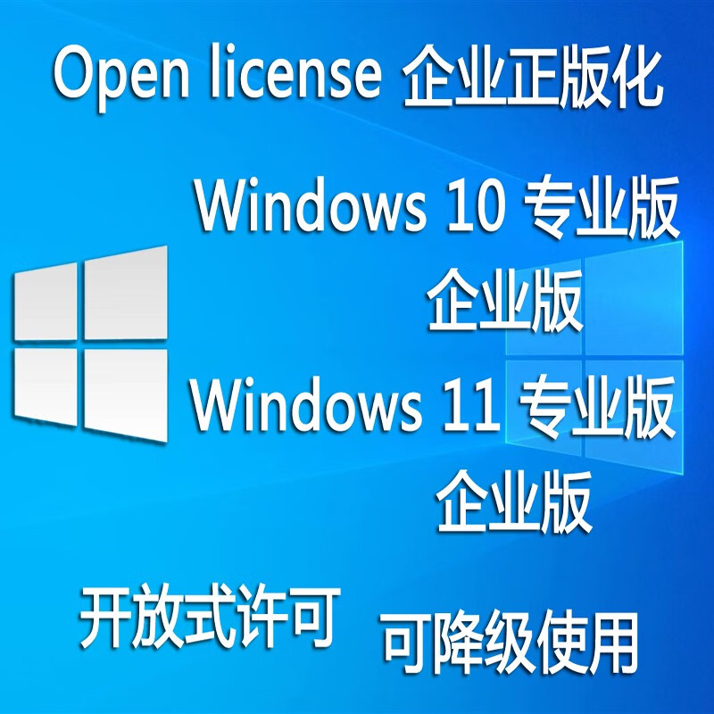 微软（Microsoft）软件 win10专业版 win10企业版 windows11专业版 win10系统 win10 windows11专业版（可降级）