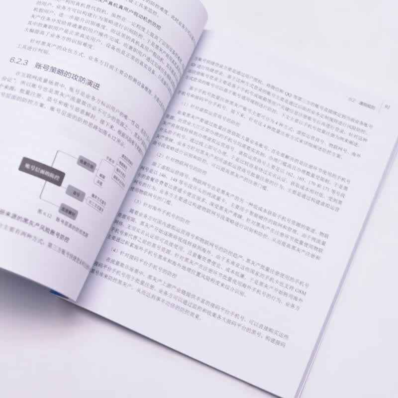 大数据安全治理与防范——流量反欺诈实战（异步图书出品）详情图