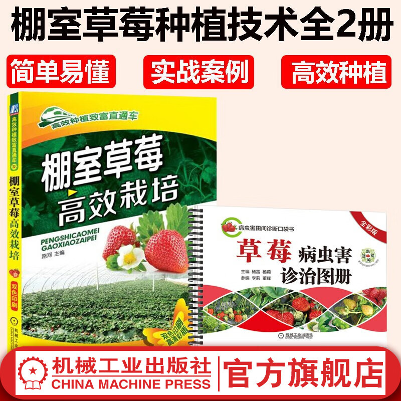 【官网】棚室草莓高效栽培+草莓病虫害诊治图册 大棚草莓种植病虫害防治教程 草莓育苗栽培管理栽培新技术 草莓种植栽培技术大全书籍