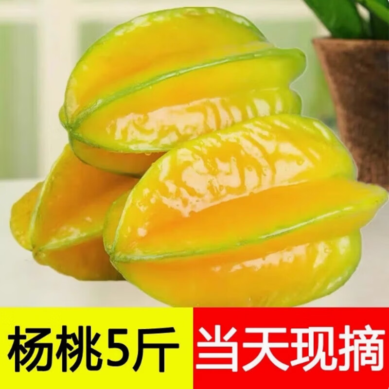 皇金蜜福建漳州下河杨桃五角星杨桃新鲜现摘香甜多汁应季水果整箱发货 净重3斤（单果150G+)