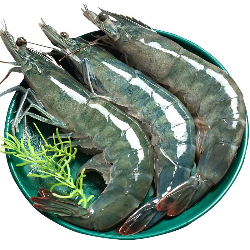 朵芙【当日发】虾 国产青岛大虾 青虾鲜虾海虾冰虾生鲜 虾类白虾 鲜活速冻 3斤(净重) 15-18cm大虾