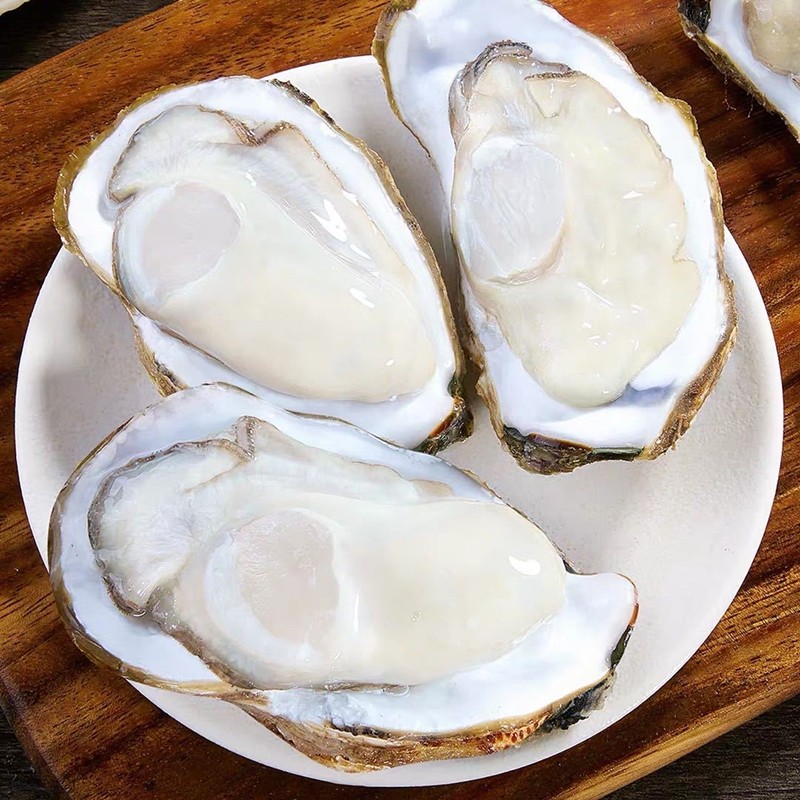 牧海翁乳山生蚝鲜活生蚝王特大牡蛎生鲜贝类新鲜海蛎子带壳生蚝肉 xxl