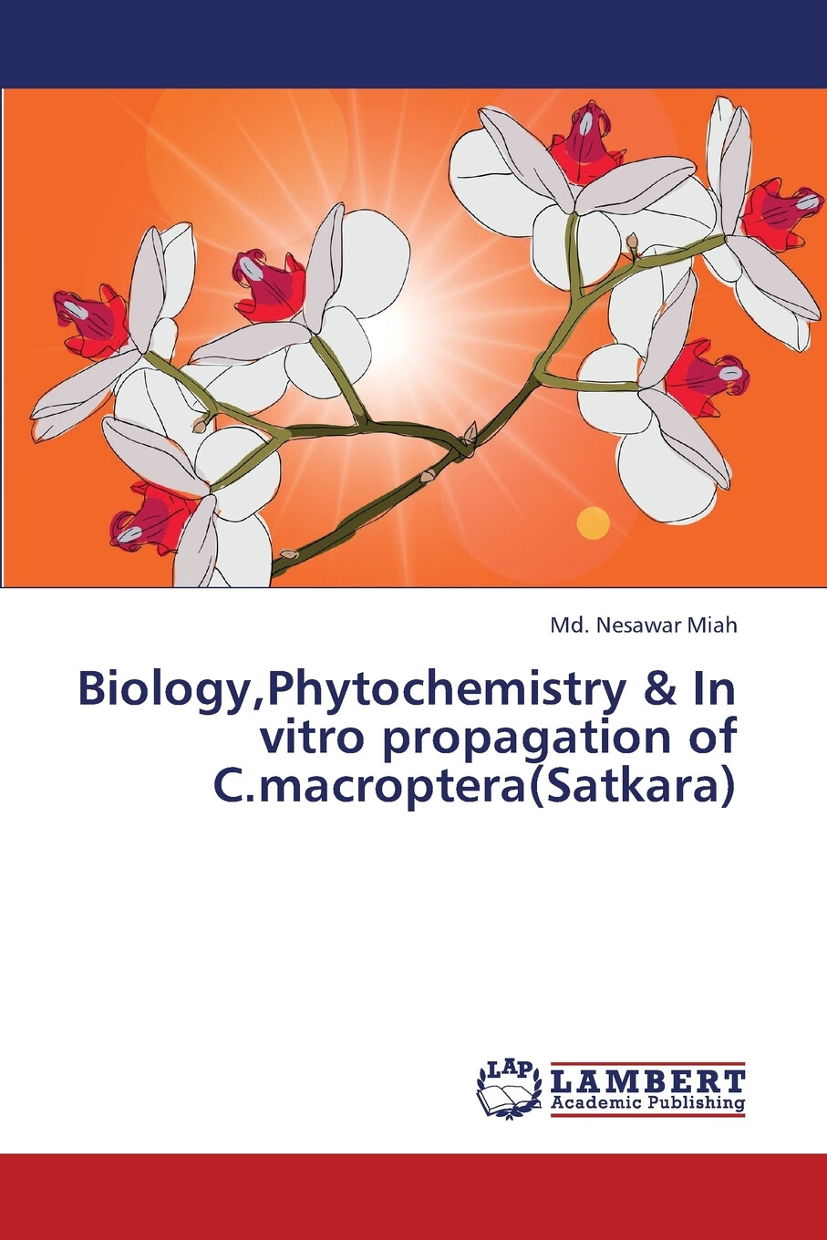 【预售按需印刷】biology, phytochemistry & in vitro propagation