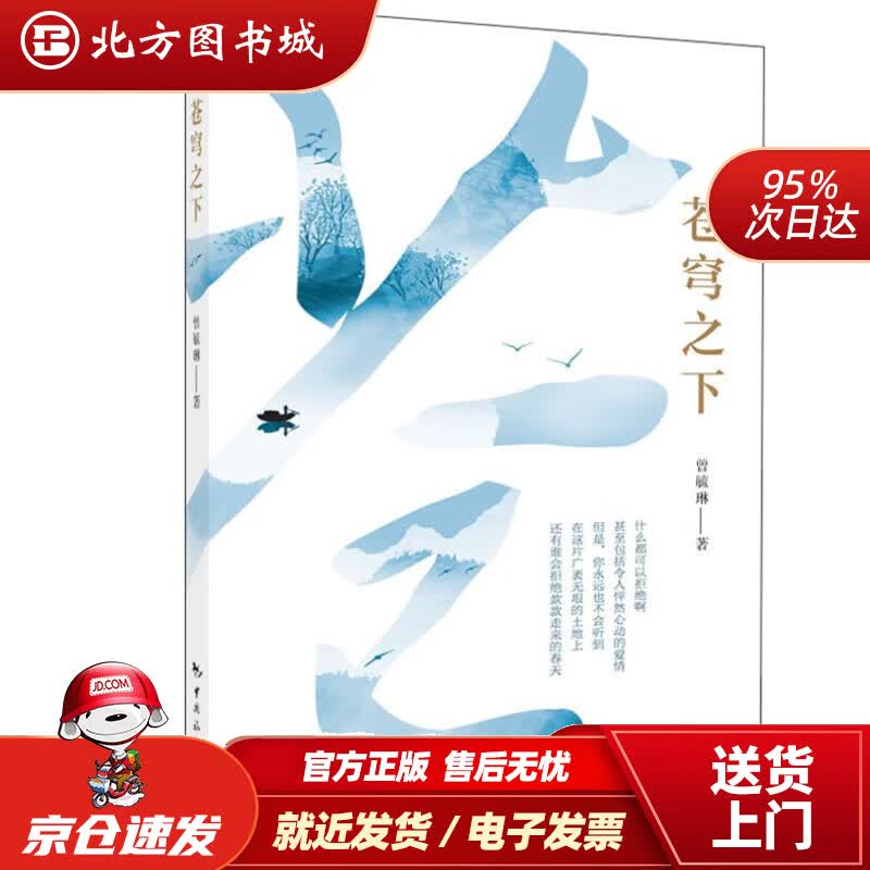【正版现货】苍穹之下曾毓琳 北方图书城