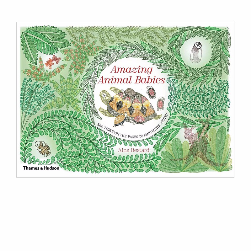 amazing animal babies 惊奇的动物宝宝 精装英文原版儿童艺术绘本