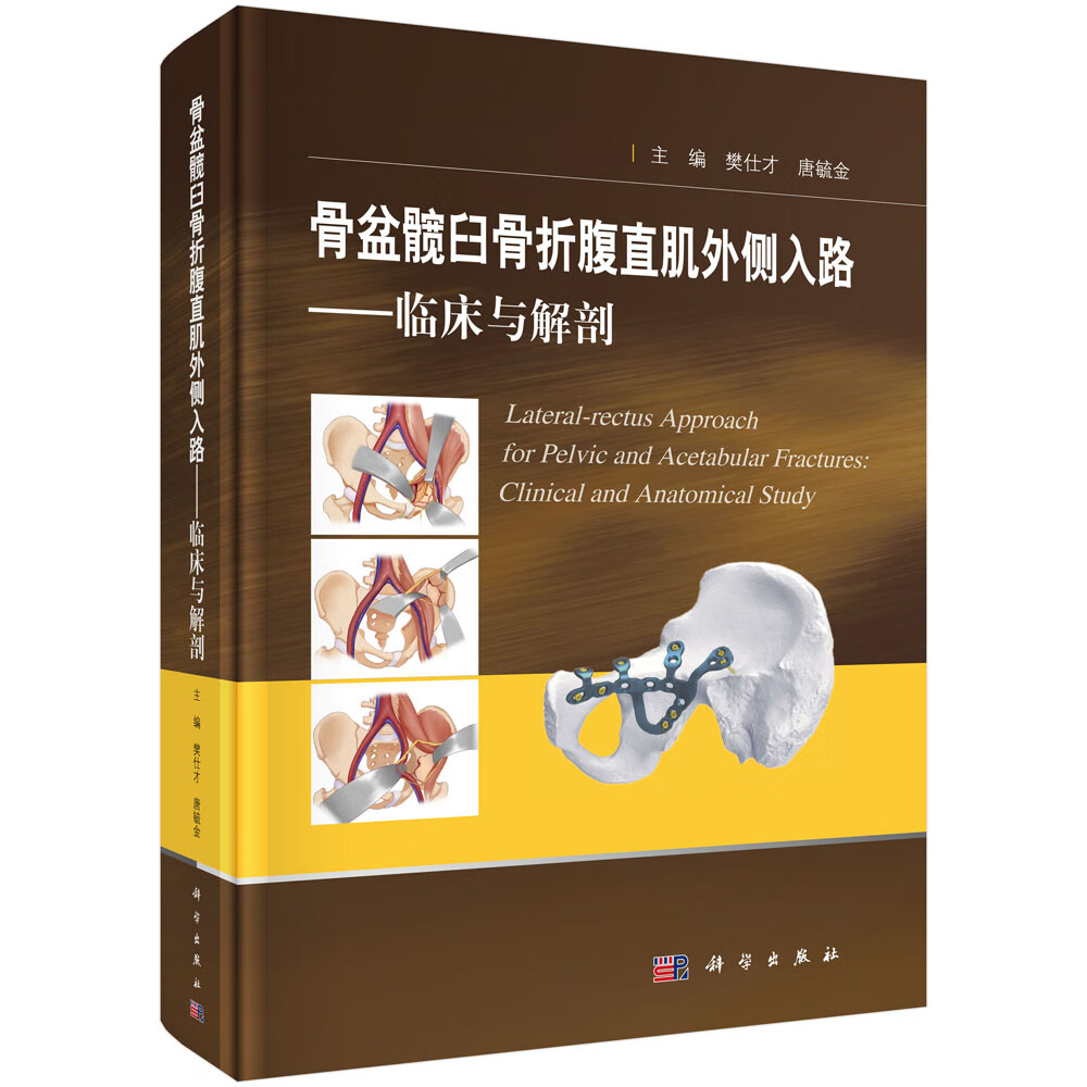 骨盆髋臼骨折腹直肌外侧入路——临床与解剖