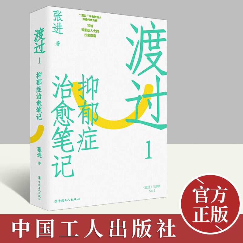 渡过1:接纳是最好的治愈 张进 著 写给抑郁症人士直面内心走出精神