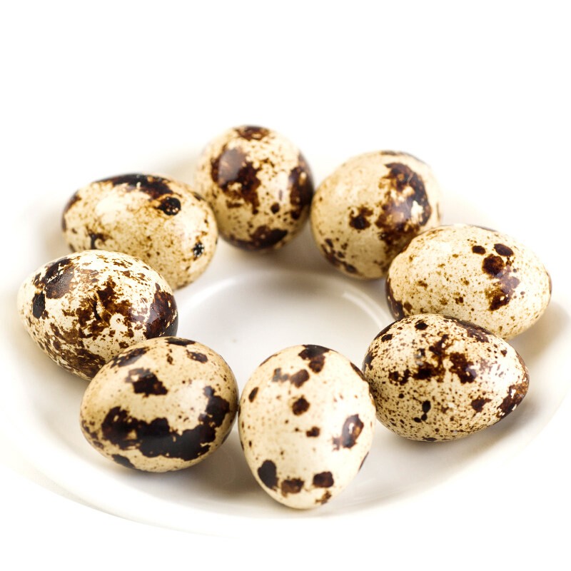 神丹 新鲜生鹌鹑蛋50枚 火锅食材 50枚装 约425g 鹌鹑蛋 50枚 430g