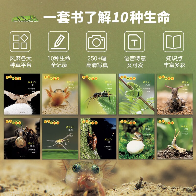 生命的故事 第2辑10册 高清实拍昆虫动物世界 蚕 蝉 蟋蟀 蜗牛 蚱蜢 自然生命简史历程百科绘本 3-6岁儿童科普图书《人民日报》推荐 生命的故事 第2辑10册