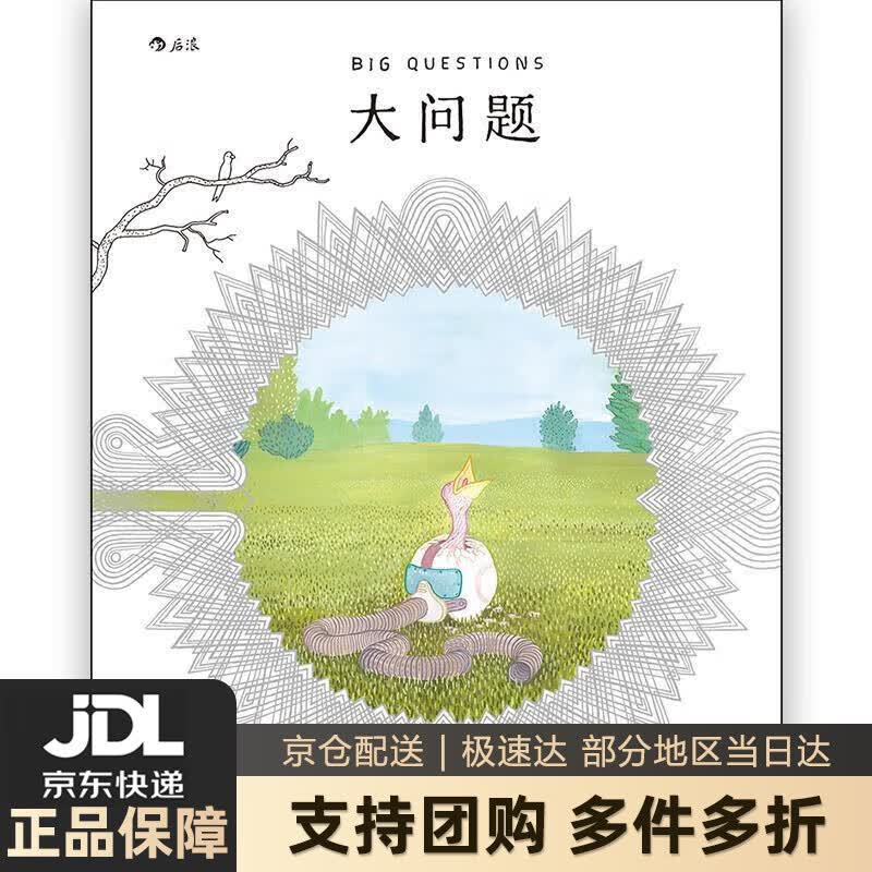 【新华书店 送货上门】大问题 [美]安德斯.尼尔森,郭惠丽 北京联合出版公司 正版图书
