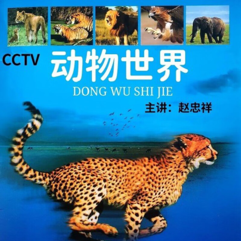 hknl科教经典动物世界全集dvd碟片全集讲解赵忠祥版国语3碟光盘