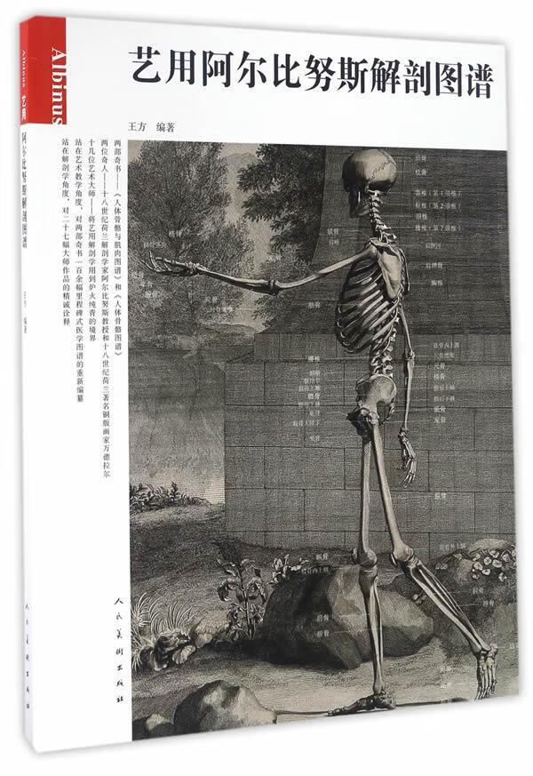 艺用阿尔比努斯解剖图谱王方人民社9787102075297 艺术书籍