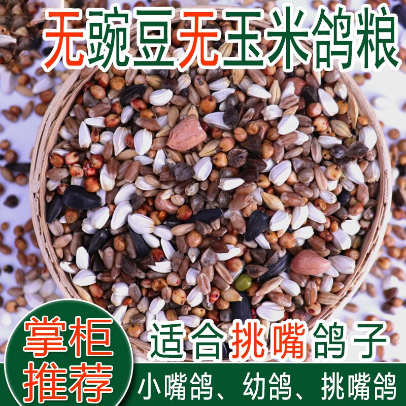 鸽子吃什么食物会死(鸽子吃什么食物)
