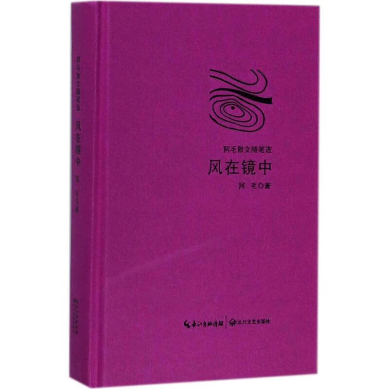 风在镜中阿毛 著 图书