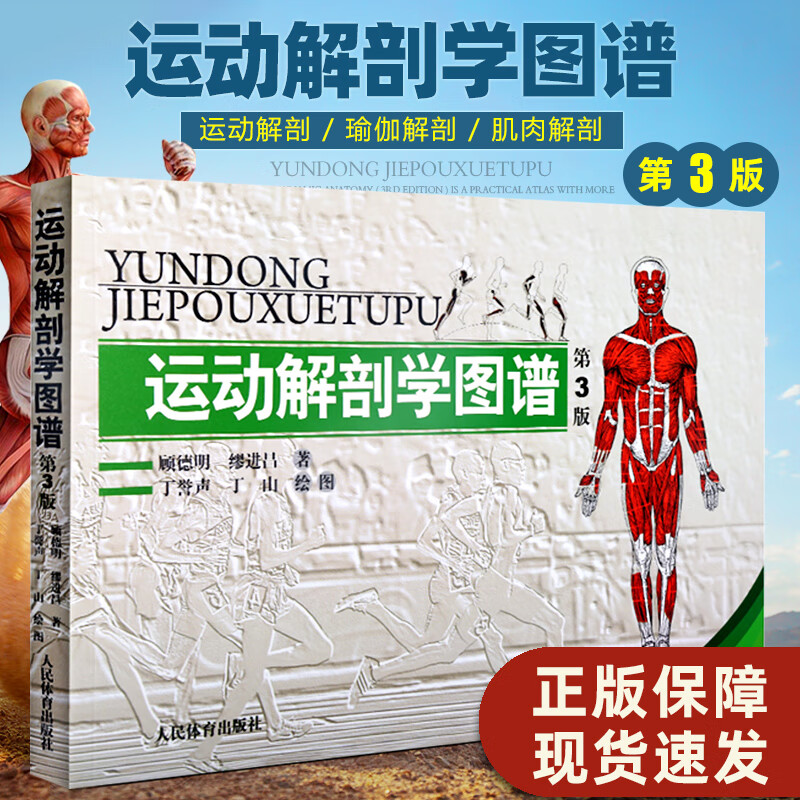 运动解剖学图谱修订第3三版 人体医学解剖图解书肌肉健美训练讲解健身