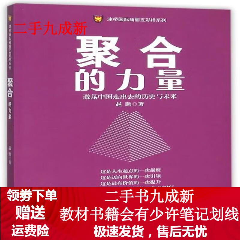 聚合的力量-游荡中国走出去的历史与未来 赵鹏 著 9787516411346 企业管理出版社