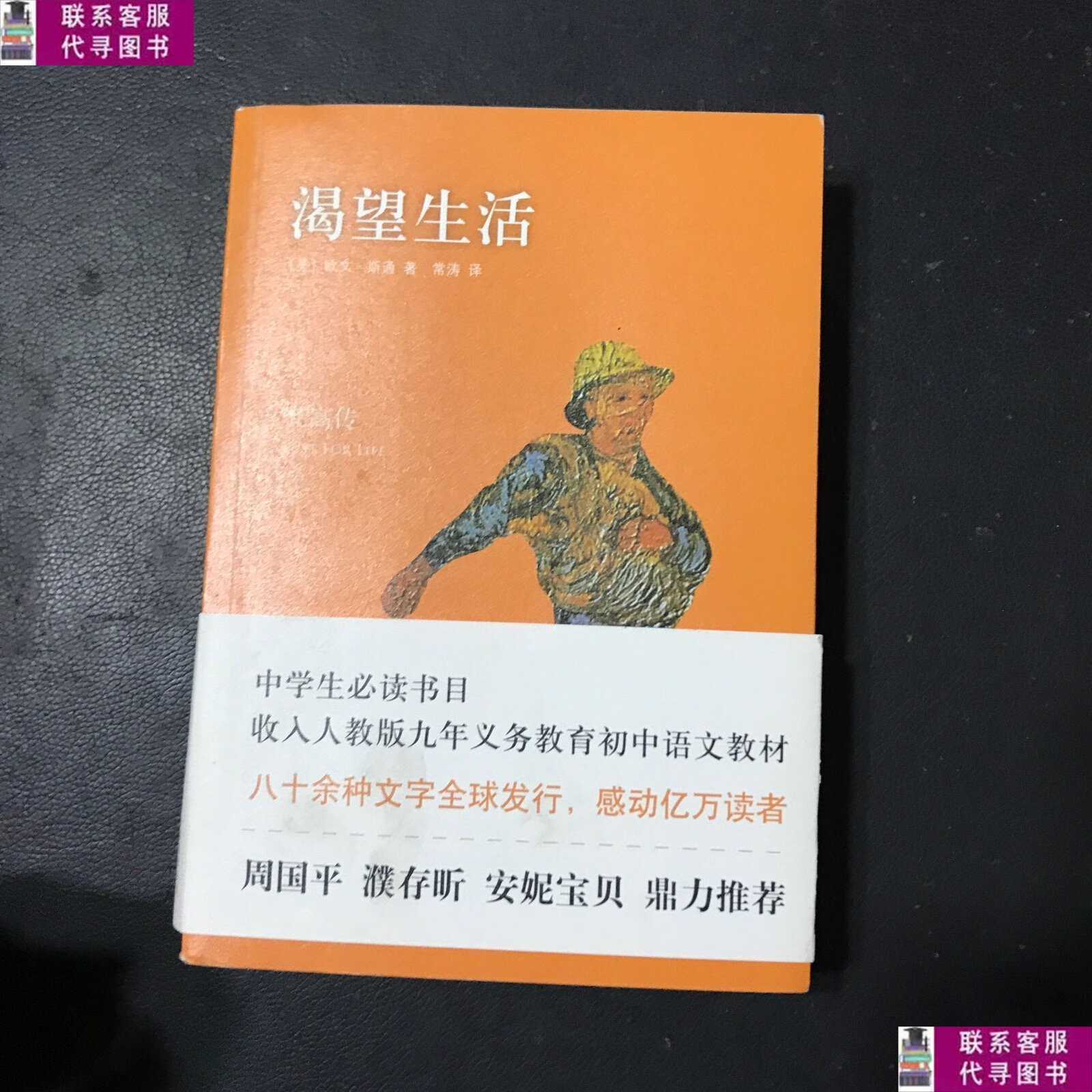 【二手9成新】渴望生活:梵高传 /欧文·斯通 北京十月文艺出版社