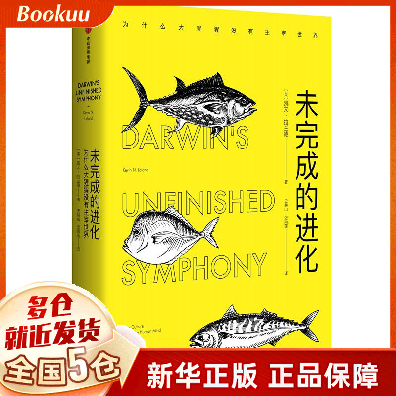 未完成的进化(精)