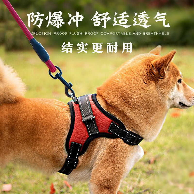 体验者出来讲磊嘉狗绳质量怎么样，网友分析评测