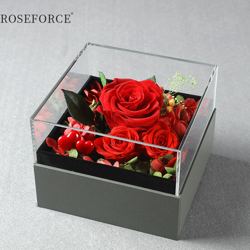 ROSEFORCE 粉色玫瑰 有机玻璃全景礼盒 永生花 七夕情人节礼物表白送女友爱人创意礼品鲜花速递 红色系列永生花有机玻璃礼盒