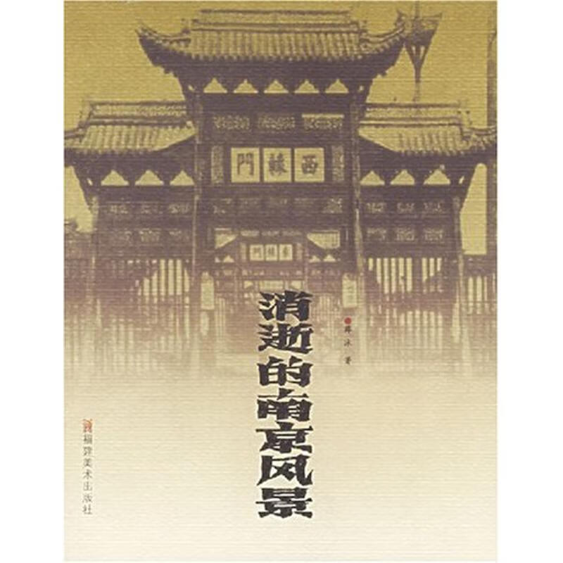 消逝的南京风景 薛冰 作 书籍