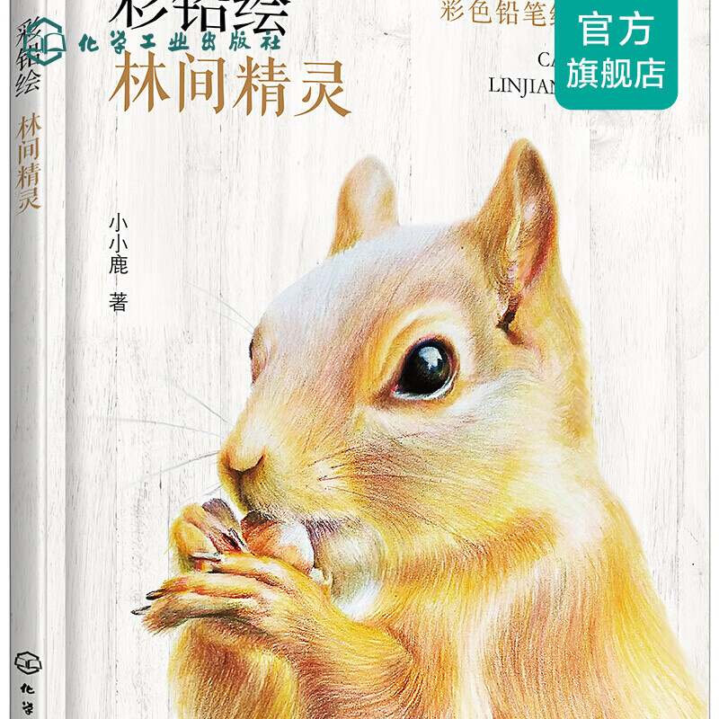 彩色铅笔绘画教程--彩铅绘——林间精灵