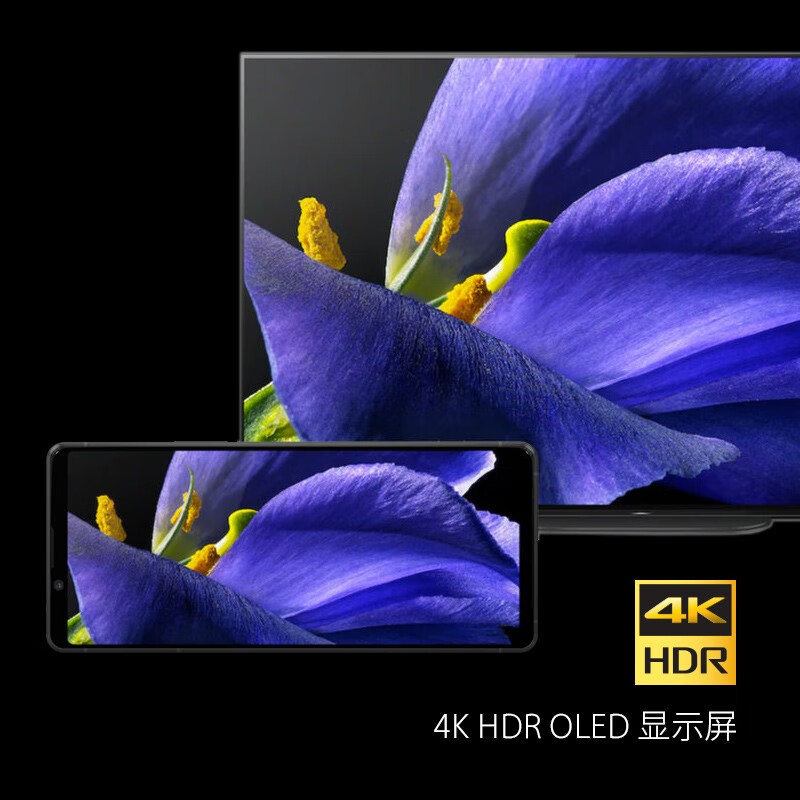 索尼（SONY）Xperia1 II 5G智能手机 4K屏 骁龙865 12G+256G 微单技术 蔡司镀膜 拍照游戏 20帧/秒 夜砚黑