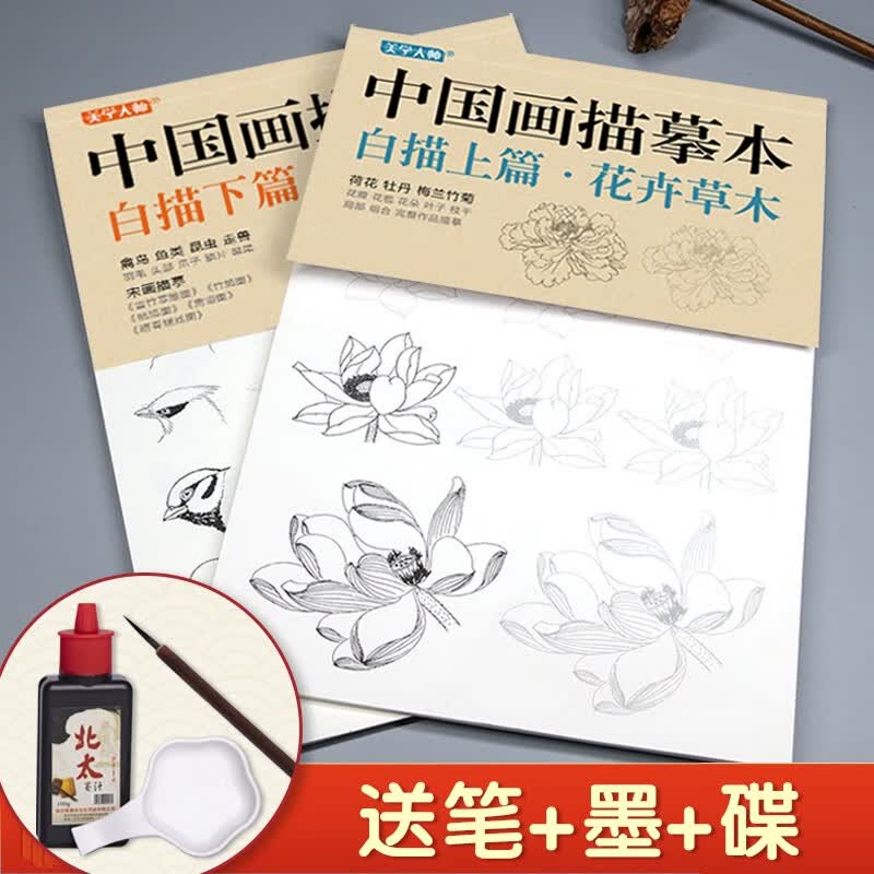 美学大师 【送笔墨碟】中国画描摹本工笔画上下2册/基础训练篇+强化提高篇 花卉草木鸟兽鱼虫绘画临摹本