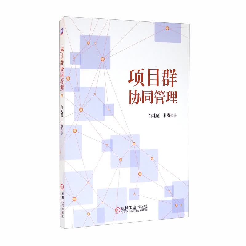 项目群协同管理